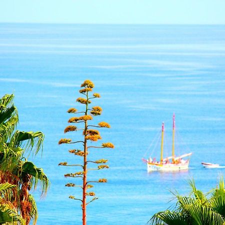 Wow Sea View, 200Mts To Beach & 10 Min To Downtown Lagos Eksteriør bilde